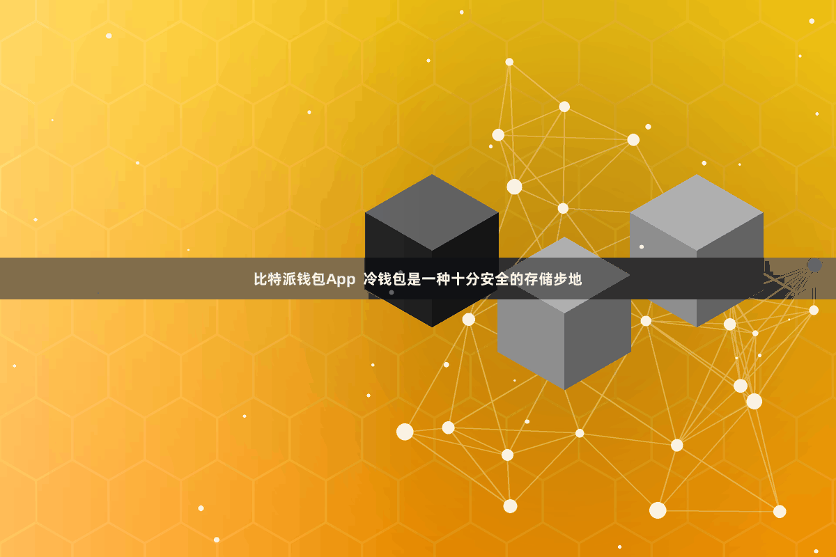 比特派钱包App 冷钱包是一种十分安全的存储步地